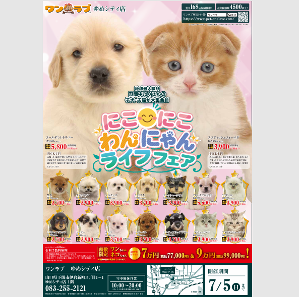 地域最大級フェア開催します！｜ペットショップ ワンラブ｜ショップ
